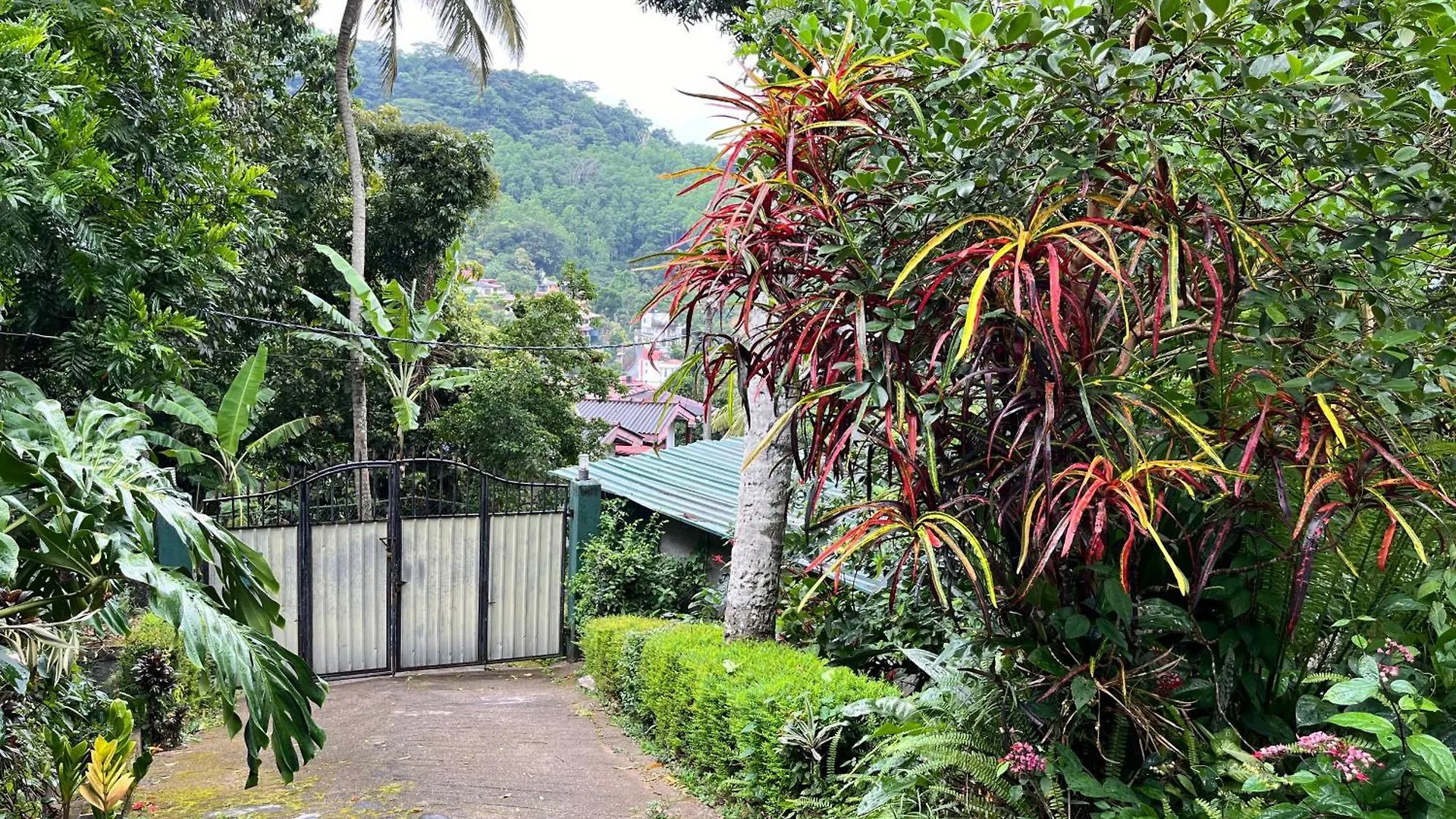 Kandy Nature Breeze Homestay